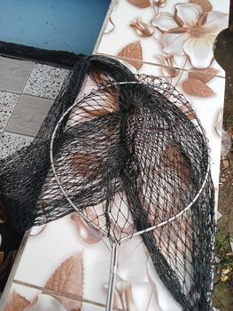 Product Review of Krumbu/tempat ikan bahan troll/tampar 100cm/120cm/150cm/200cm from c**1 0