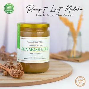 Sea Moss Gel GOLD 500gr Premium (Eucheuma Cottonii)