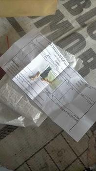 Product Review of Anting Sleep Panjang I Kode: 1gr from m**s 1