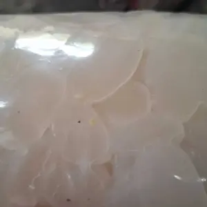 KOLANG KALING FRES 1 KILO GRAM ARGANIK ORIGINAL