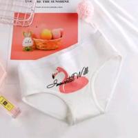 Gambar Styleunderwear - Celana dalam wanita - celana dalam katun - celana dalam bervariasi motif - CD 019 - White Flaminggo, L dari Style Underwear Kota Administrasi Jakarta Barat 1 Tokopedia