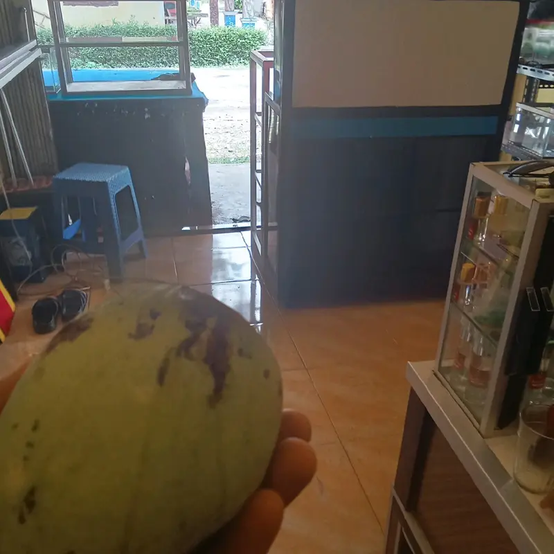lemari rak piring dan makanan 4