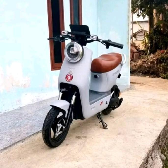 stang sepeda listrik pnp bisa untuk semua jenis sepeda listrik 2