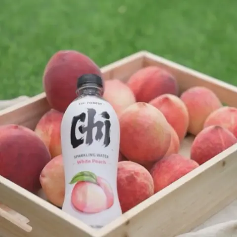 Chi Forest Sparkling Water Bebas Gula White Peach 480 ml Disney Stitch  Edition Air Botol Buah Food Minuman Putih Segar Sehat Bahan Sirup Etawa Wijen Selai Garing Maryam Soda Platinum 7