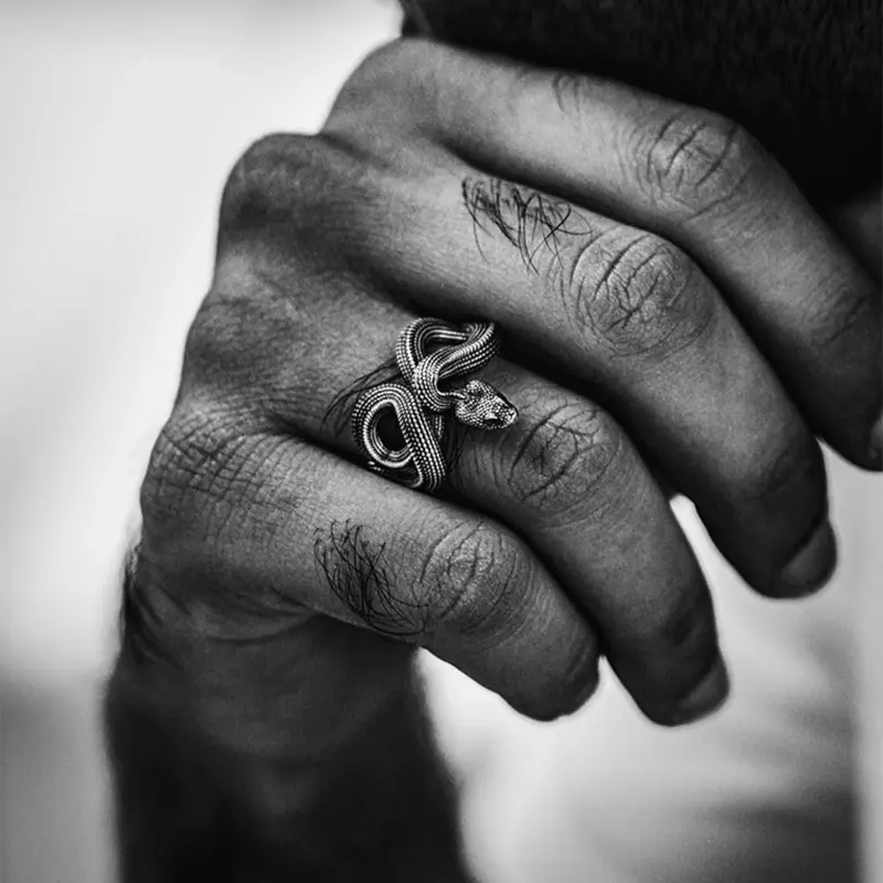 Nhẫn Rắn Động Vật, Thủ Công, Phong Cách Rock, Nhẫn Mở Cho Nam, Trang Sức Hip Hop, Nhẫn Hợp Kim Cổ Điển Quà Tặng Tiệc Tùng Móc Chìa Khoá Titan 2