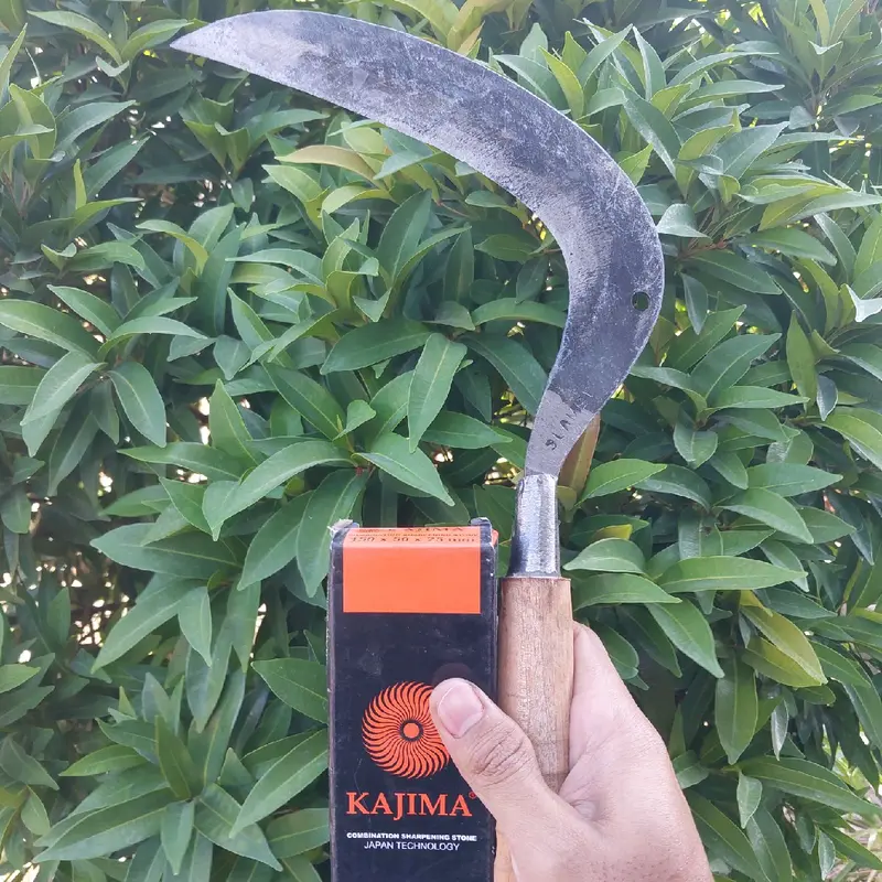 Sabit Bolong plat Cocok untuk Cari Rumput 2