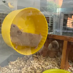 LIVINGWORLD Plastic Hamster Wheel 15cm