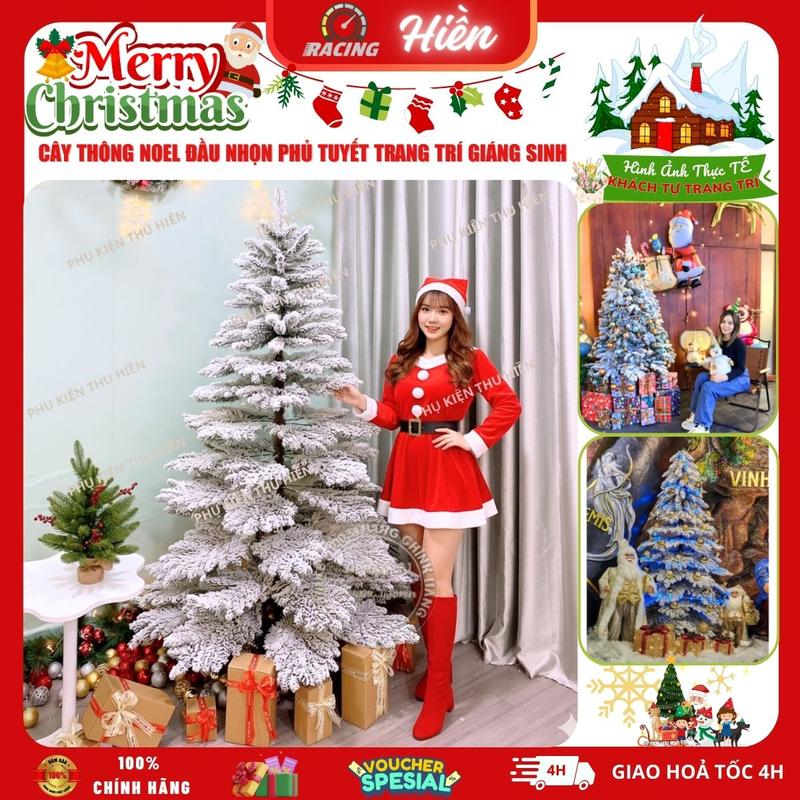 Cây thông noel 1M5, 2M, 2M4 cây thông Đầu Nhọn Phủ Tuyết - Cành Treo phủ tuyết trang trí giáng sinh nhà cửa phòng khách ngoài trời