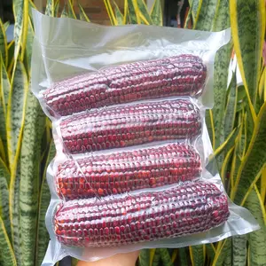 Jagung Ketan Ungu Kupas Vacum 1 KG