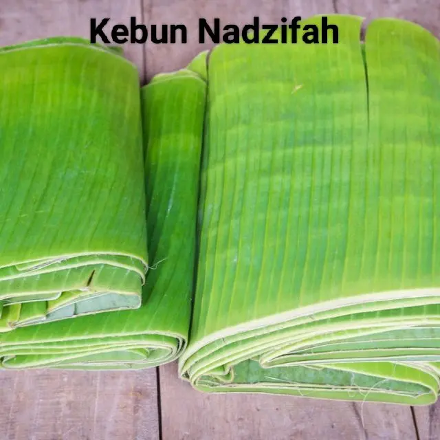 Daun Pisang Segar Super Perlembar  [Daun Pisang Premium] untuk Kue & Masakan