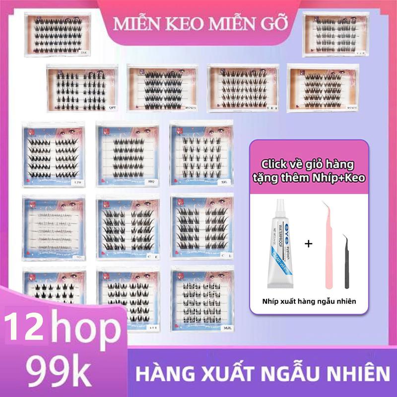 (99K/12 hộp)HÀNG XUẤT NGẪU NHIÊN Lông mi giả sẵn keo hoa hướng dương gân trong, cụm mềm mại, dễ sử dụng cho người mới bắt đầu mi giả sẵn keo công nghệ mới. Tái sử dụng, thuận tiện cho việc trang điểm