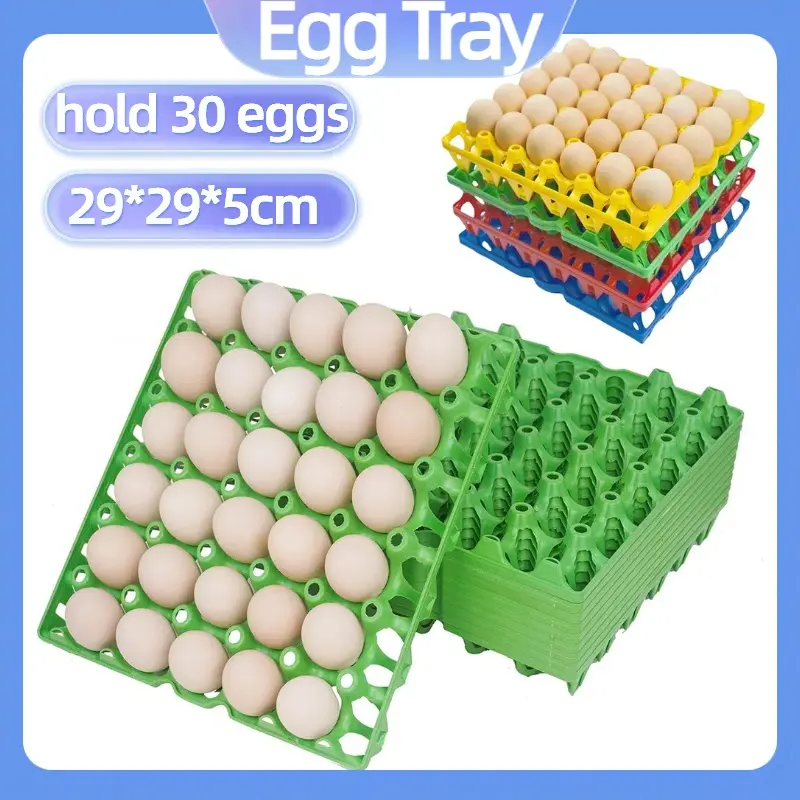 Tray Telur/Egg Tray/Can Hold 30PCS/Egg Storage Box/bekas telur/Tray Can Hold/Egg storage