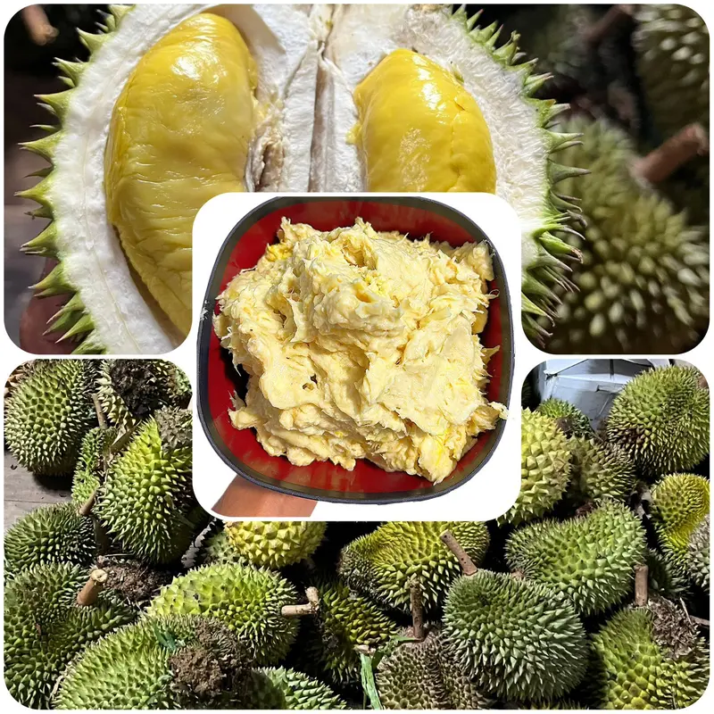 TEMPOYAK DURIAN KALIMANTAN 500 GRAM SEGAR DAN BARU 0