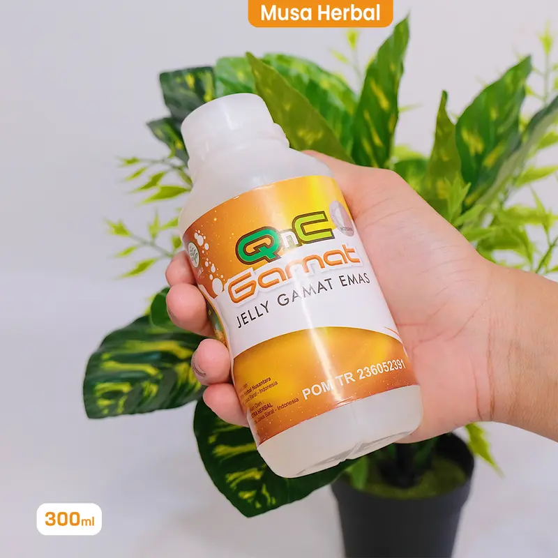 QNC Jelly gamat emas herbal multikhasiat dari ekstrak teripang emas 3