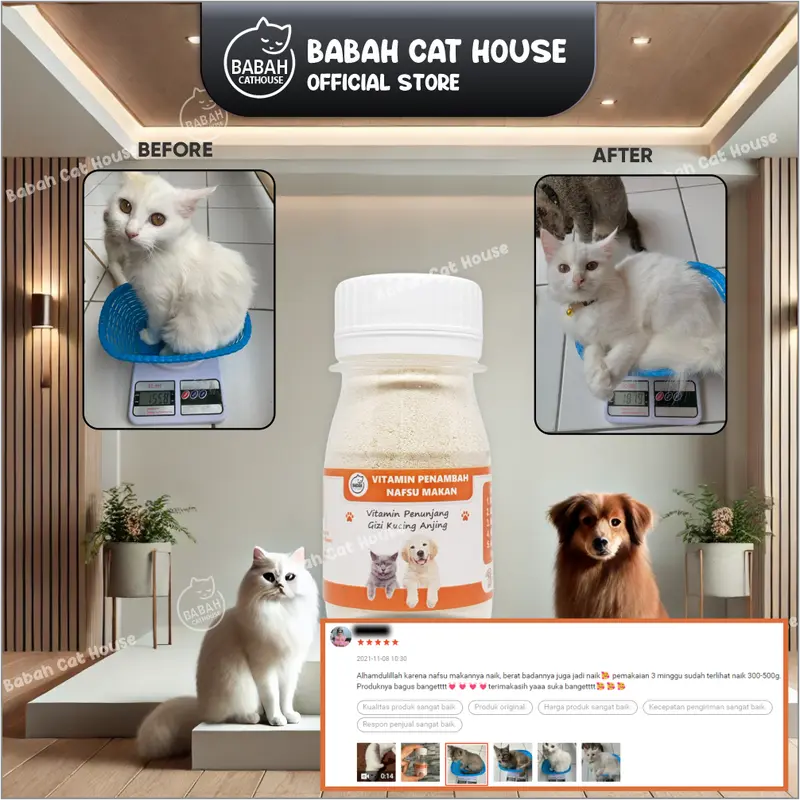 VITAMIN GEMUK Kucing Penambah Nafsu Makan Anjing Obat Penggemuk Untuk Fitamin Anak Cat Kitten Hamil Dan Vit Adult Menyusui BabahCatHouse Supplemen  Suplemen Badan Ampuh Murah 2