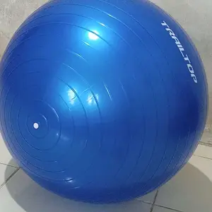 [READY] TrailTop Gym Ball Free Pompa Gym Ball Ibu Hamil 65/75cm Bola Yoga Alat Olahraga Otot Gymball