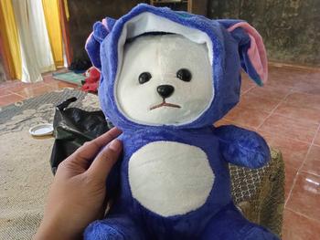 Product Review of Boneka Teddy Tales Bear Cosplay Manyo Ukuran 30cm Bahan Yelvo Halus Dan Lembut Berstandar SNI from i**l S** 0