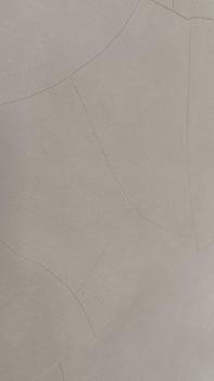 Product Review of [ Penatu Home ] Glow like new - Deterjen Booster 500gr from D**i 0