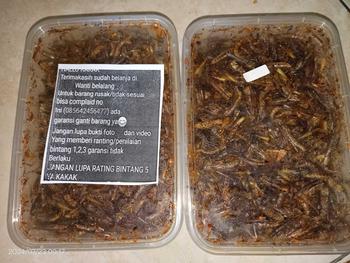 Product Review of belalang utis/belang kecil dpet 1box from M**I 1