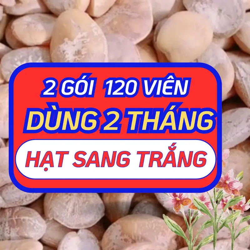 2 Gói V Hạt Sang Trắng Dùng 2 Tháng- Giải Quyết Đại Tràng Co Thắt & Viêm Loét cây nhội giống cây hoa hồng phụng hạt nắp ấm mận phôi trồng nấm kim châm 1