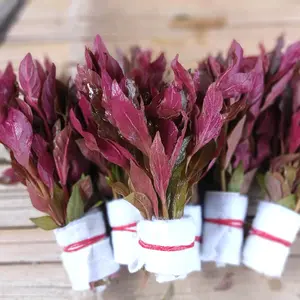 tanaman sintetis aquarium reniki mini per bundle