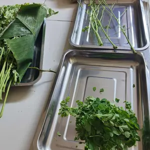 Paket Hemat 5 Pcs Nampan Stenliess Persegi Nampan Serbaguna Baking Tray Alat Dapur kitchenware Stainless