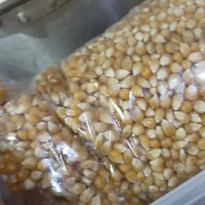 Jagung Popcorn Mentah 1 kg Original Food Snack Camilan Cemilan