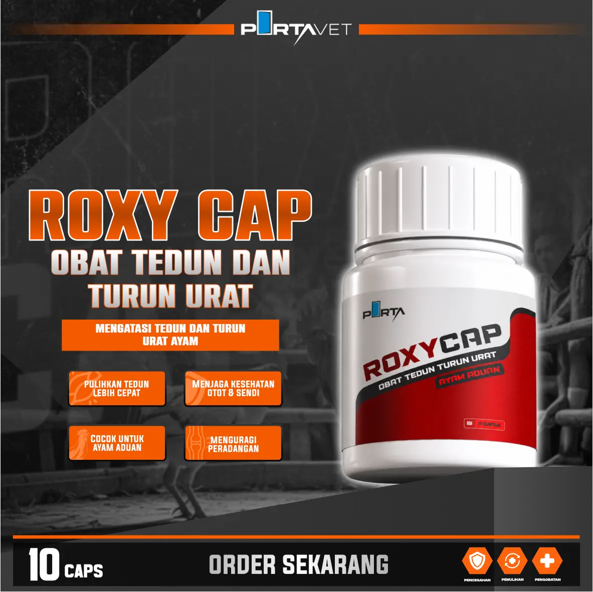 ROXYCAP - OBAT KAKI AYAM CIDERA PINCANG LUMPUH TEDUN untuk Semua Jenis Ayam 10 Kapsul Sembuh dalam Hitungan Hari