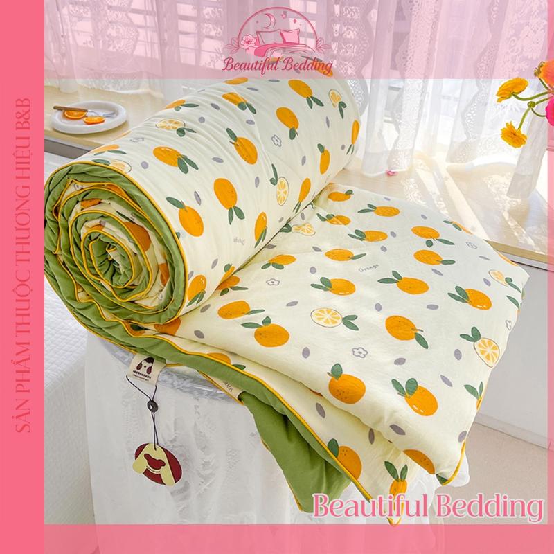 Mền Mỏng Mùa Hè 1m8x2m Cotton Đũi Mềm Mịn Chăn Hè Sơ Đậu Nành Trần Bông 3 Lớp