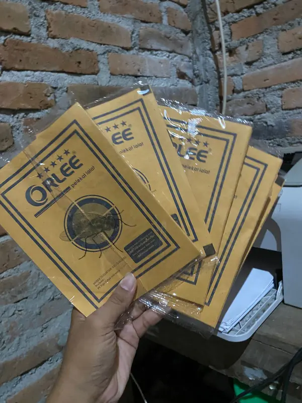 1Box 100pcs - lem lalat orlee super kelet, nempel lengket pliket kraket di lem lakate 0