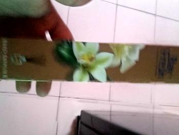 Product Review of Bayfresh Reed Diffuser Refill Pengharum Ruangan from I**l F**d 1