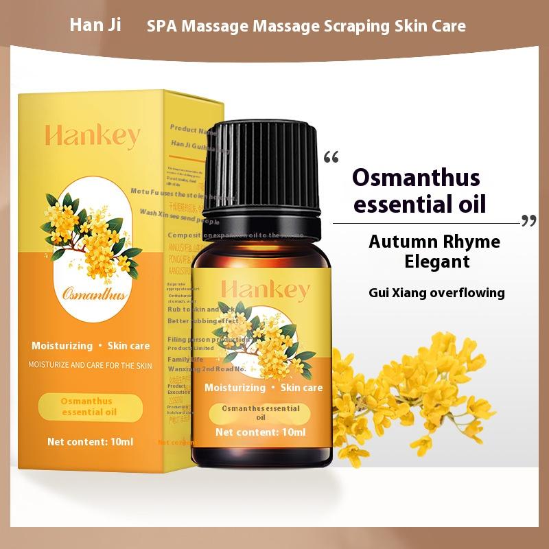 Product Introduction of Osmanthus compound plant essential oil beauty salon gua sha massage skin care body oil Comfort Cosmetic 4