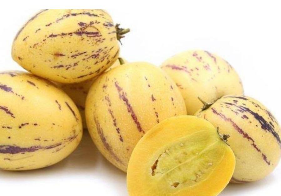kemasan premium biji benih tanaman buah pepino kuning impor f1 ( isi -+ 100 butir biji benih)