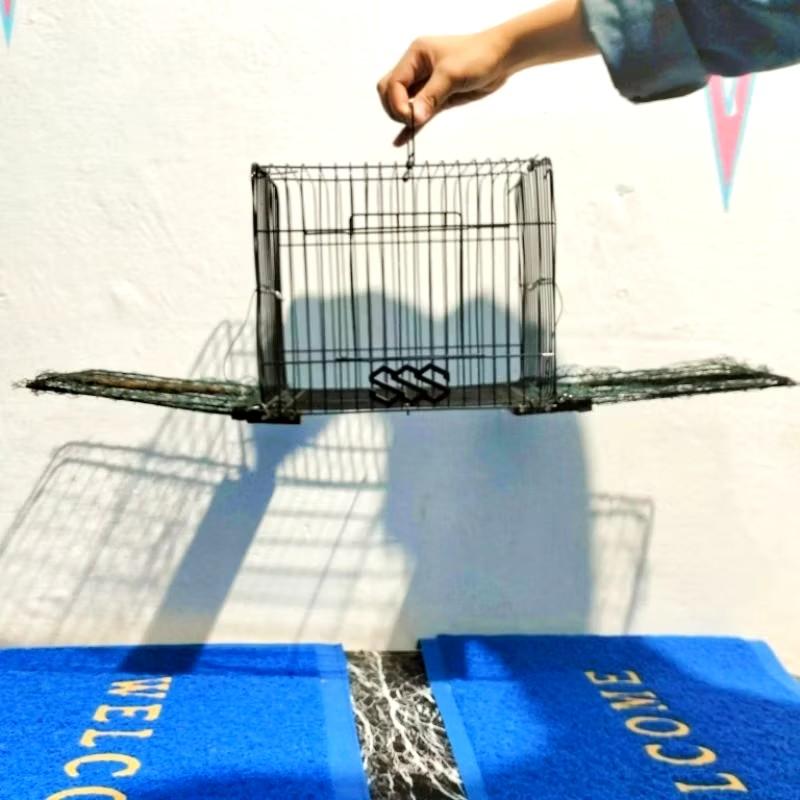 sangkar jebakan burung kecil