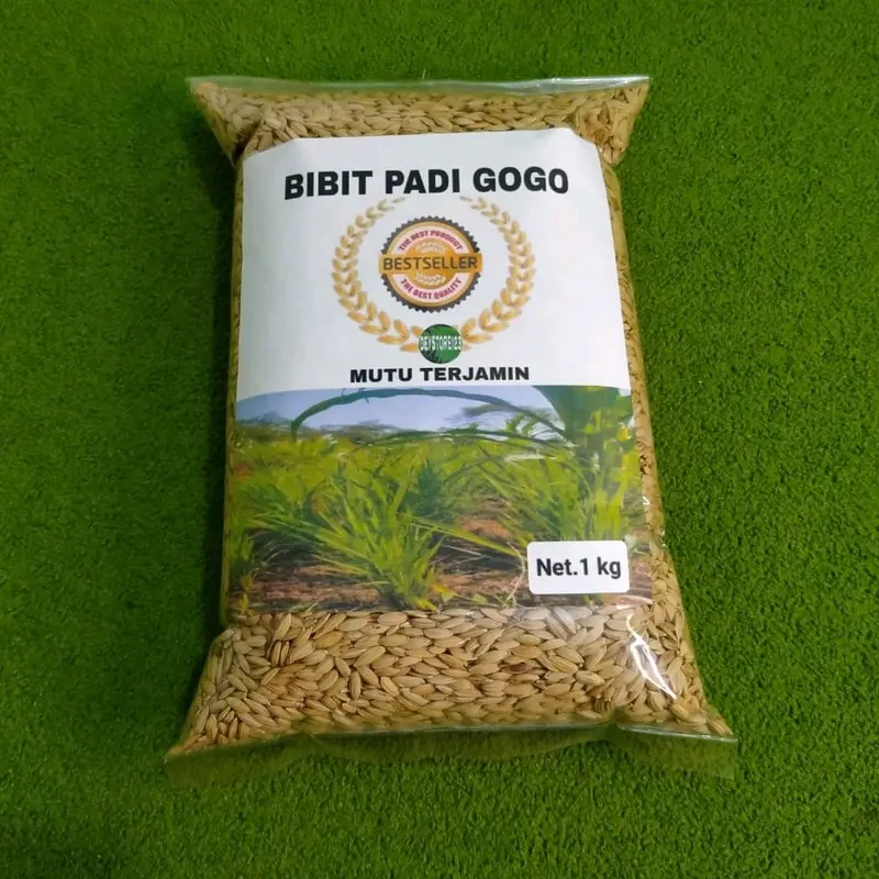 Benih padi gogo padi darat super berat 1 kg Tanaman Merah 0