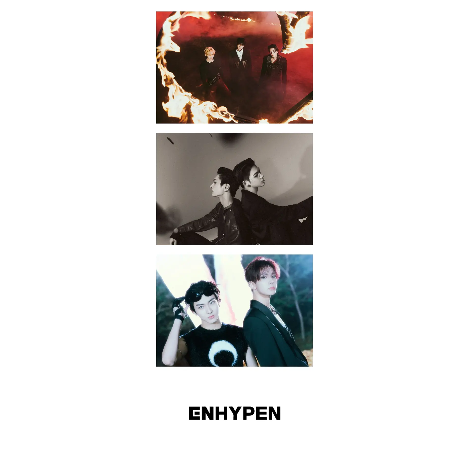 CONCESSIO ALL MEMBER