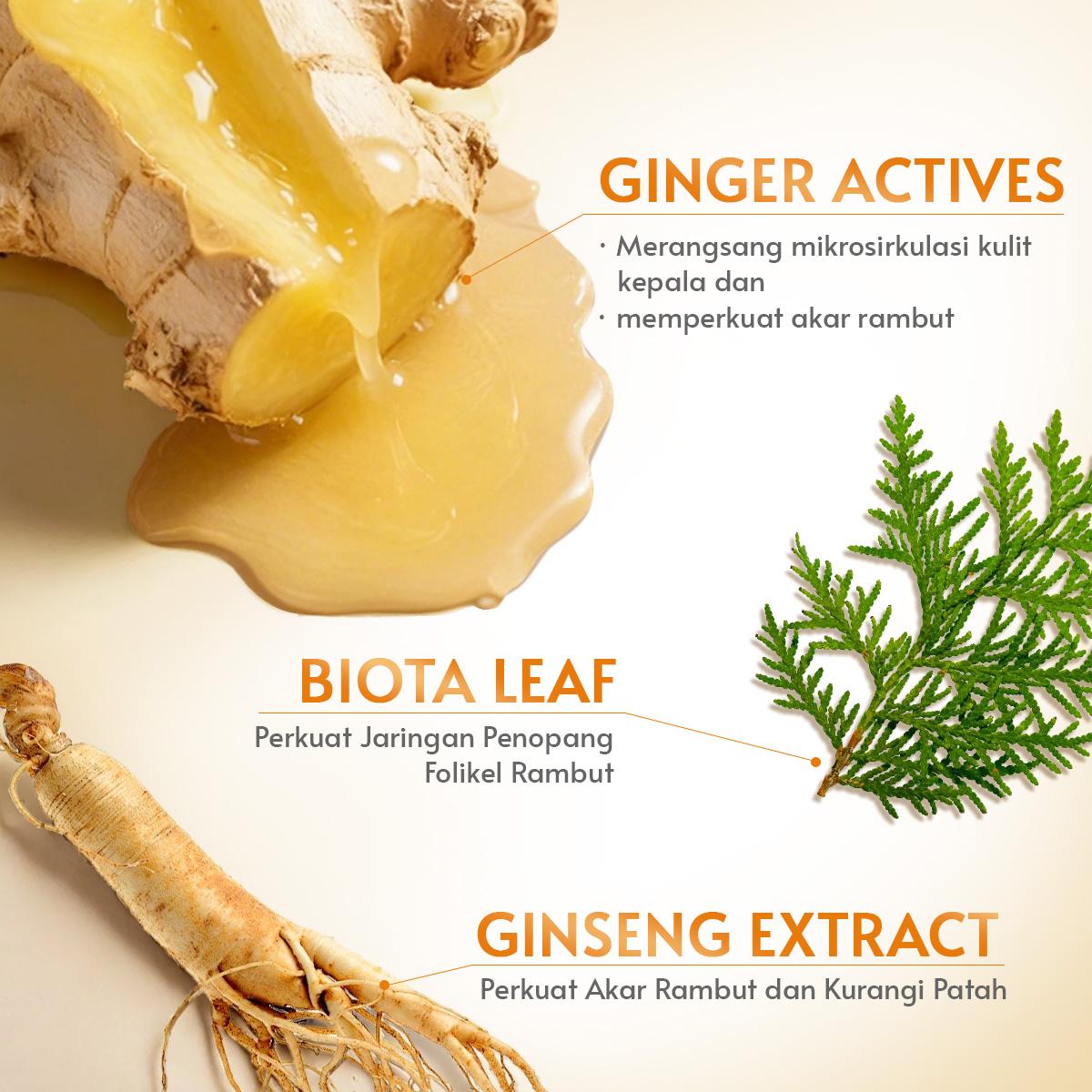 【Flash】Cyeecare BOTANICAL GINGER & GINSENG CARE SHAMPOO Anti-Rambut Rontok Haircare Ketombe Perawatan