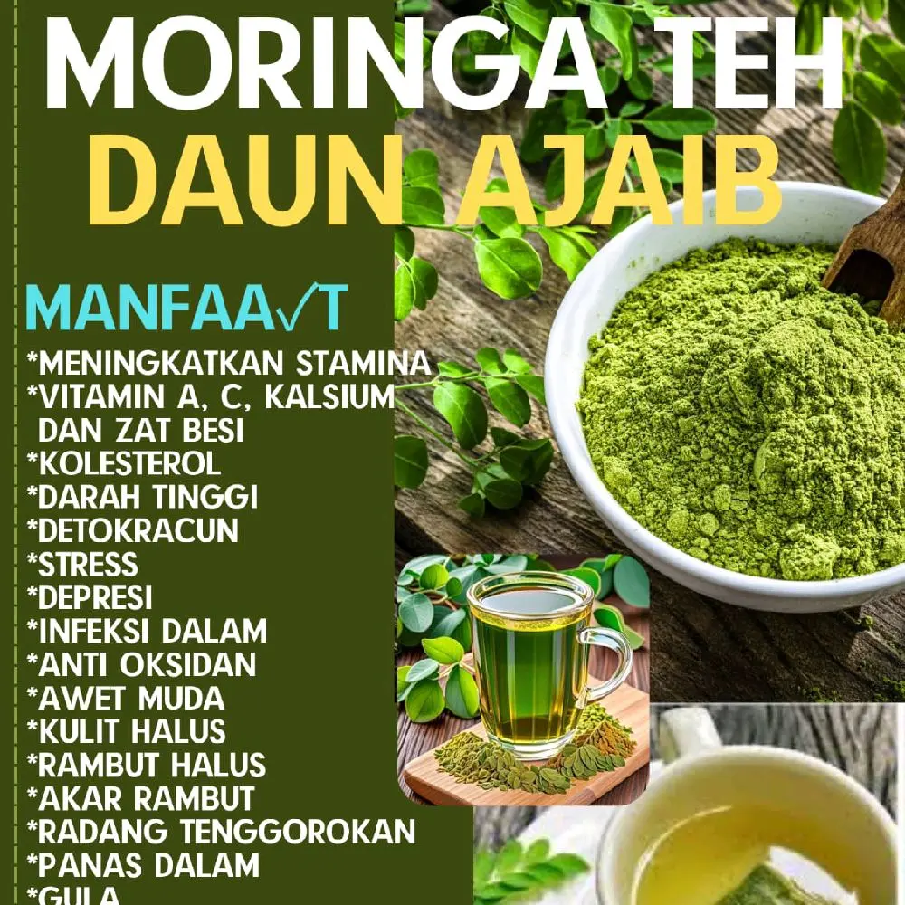 moringa teh,Daun Ajaib untuk kesehatan,Rambut rontok, menguatkan akar rambut.multifunsi
