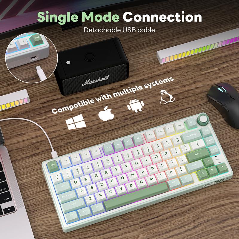 Product Introduction of RK ROYAL KLUDGE R75 Mechanical Keyboard Wired with Volume Knob, r75% TKL Custom Gaming Keyboard Gasket Mount RGB Backlit with Software, Hot Swappable Silver Switch, PBT Keycaps 5