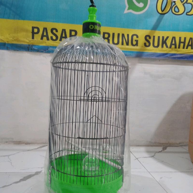 sangkar levebird oriq jaya vpc poloss bahan tebel ukuran lebar 33x33cm pengiriman seruruh indonesia 1