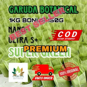 DAUN AJIB TEH PUCUK ALAMI ASLI SUPER TERANG DARI HTANN XXM4NTAAM KUALITAS PREMIUM ADA BONUS SS Plus +, Gratis Ongkir
