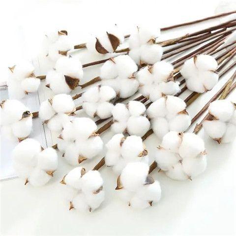 Product Introduction of Bó Hoa Khô, Chất Liệu Cotton, Đồ Trang Trí Hoa Vĩnh Cửu, Đạo Cụ Chụp Ảnh, Hoa Mô Phỏng, Hoa Khô Cotton Màu Giáng Sinh Tự Làm, Bộ 10 Miếng Decor Decor Phòng Trang Trí Nhà 4