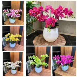 Bunga Anggrek Latek Film 6 Cabang & Vas Pot Bola Plastik Dekorasi Meja 13 cm x 35cm Good Quality 9 Helai Daun cocok untuk dekorasi ruangan kamar dan meja tamu