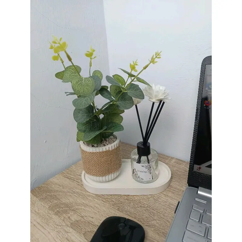 Sensha Galeria Set Daun Eucalyptus Pot Diffuser / Hiasan Meja Estetik / Hiasan Rumah Estetik / Hiasan meja kantor meja kerja Hampers Home decor 3