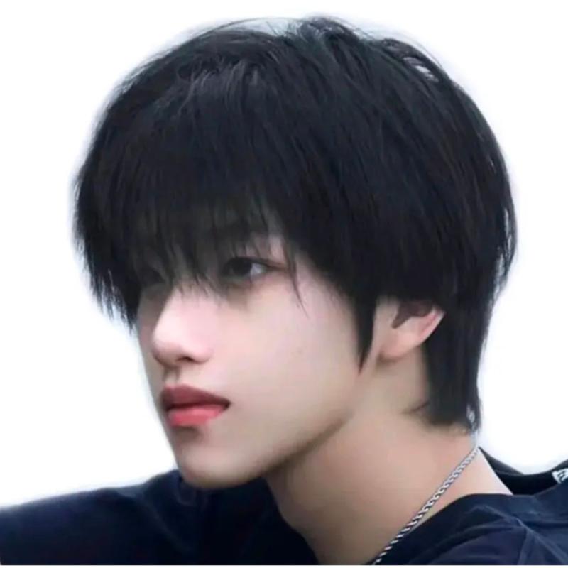 Product Introduction of WIG PRIA RAMBUT PENDEK TEBAL WARNA HITAM MODEL COWOK KOREA GRATIS WIGCAP 9