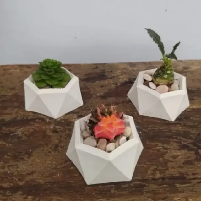 Paket lengkap kaktus sukulen POT HEXASHAPE artificial 0