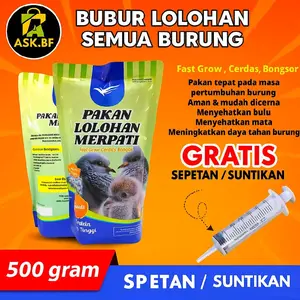 Pakan Bubur Lolohan Merpati Makanan Burung Bubur lolohan Burung Merpati dll Bernutrisi Tinggi Makanan Burung PREMIUM