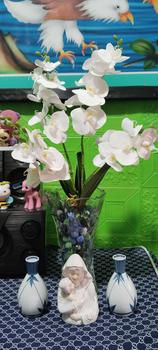 Product Review of Artificial Flowers 12 Heads 50CM Artificial Butterfly Orchid Fake Moth Orchids Flowers Home Decor Crafts Festive Party Supplies,Dried Flower Bouquet,Dried Flowers from h**6 1