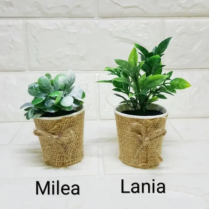 Pajangan Rumputtiga Pot Mini Burlap Kecil Pajangan Unik Cantik