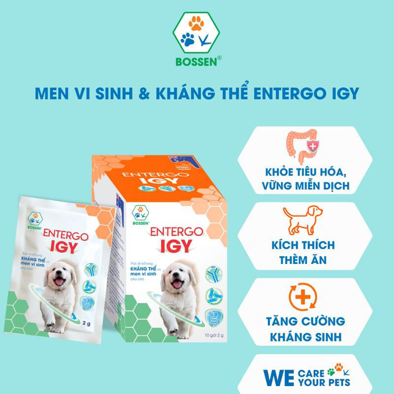 Men vi sinh & kháng thể ENTERGO IGY - BOSSEN | Hỗ trợ tiêu hóa Tăng cường miễn dịch cho chó hộp 10 gói
